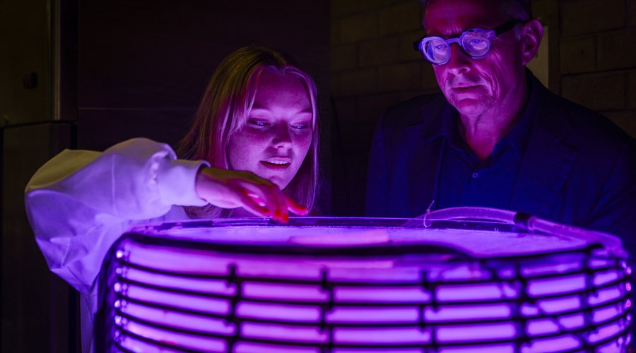 Algenie_photobioreactor