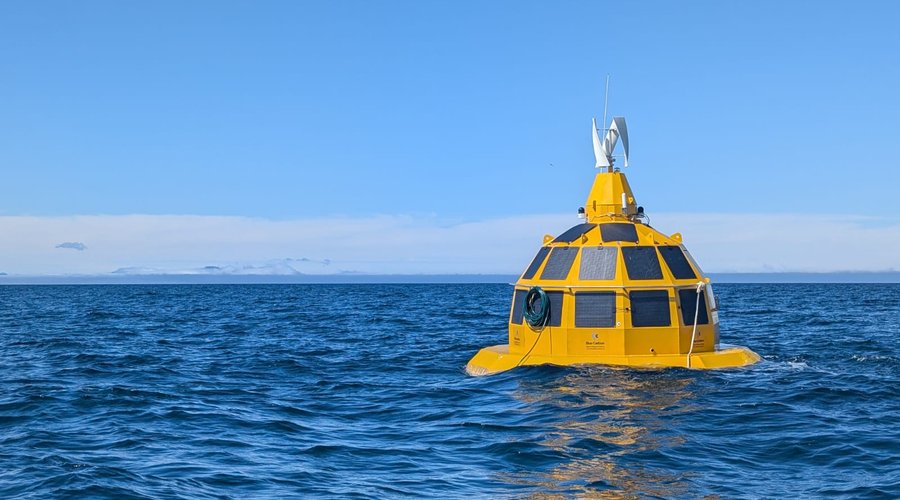 Blue Carbon_Opod